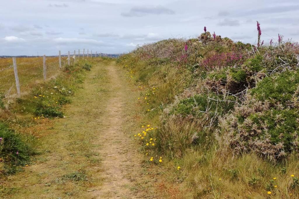 Farm Accommodation - The Lizard Peninsula, Cornwall 헬스턴 외부 사진