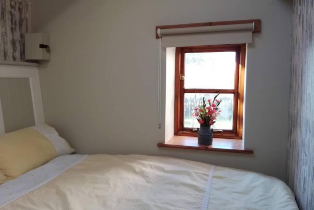 Farm Accommodation - The Lizard Peninsula, Cornwall 헬스턴 외부 사진