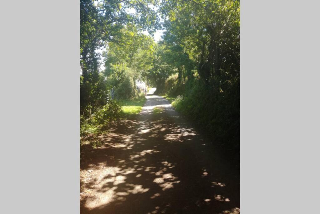 Farm Accommodation - The Lizard Peninsula, Cornwall 헬스턴 외부 사진