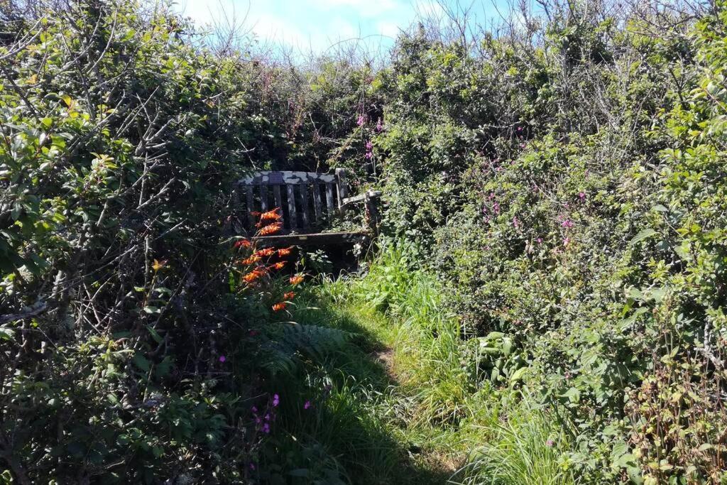 Farm Accommodation - The Lizard Peninsula, Cornwall 헬스턴 외부 사진
