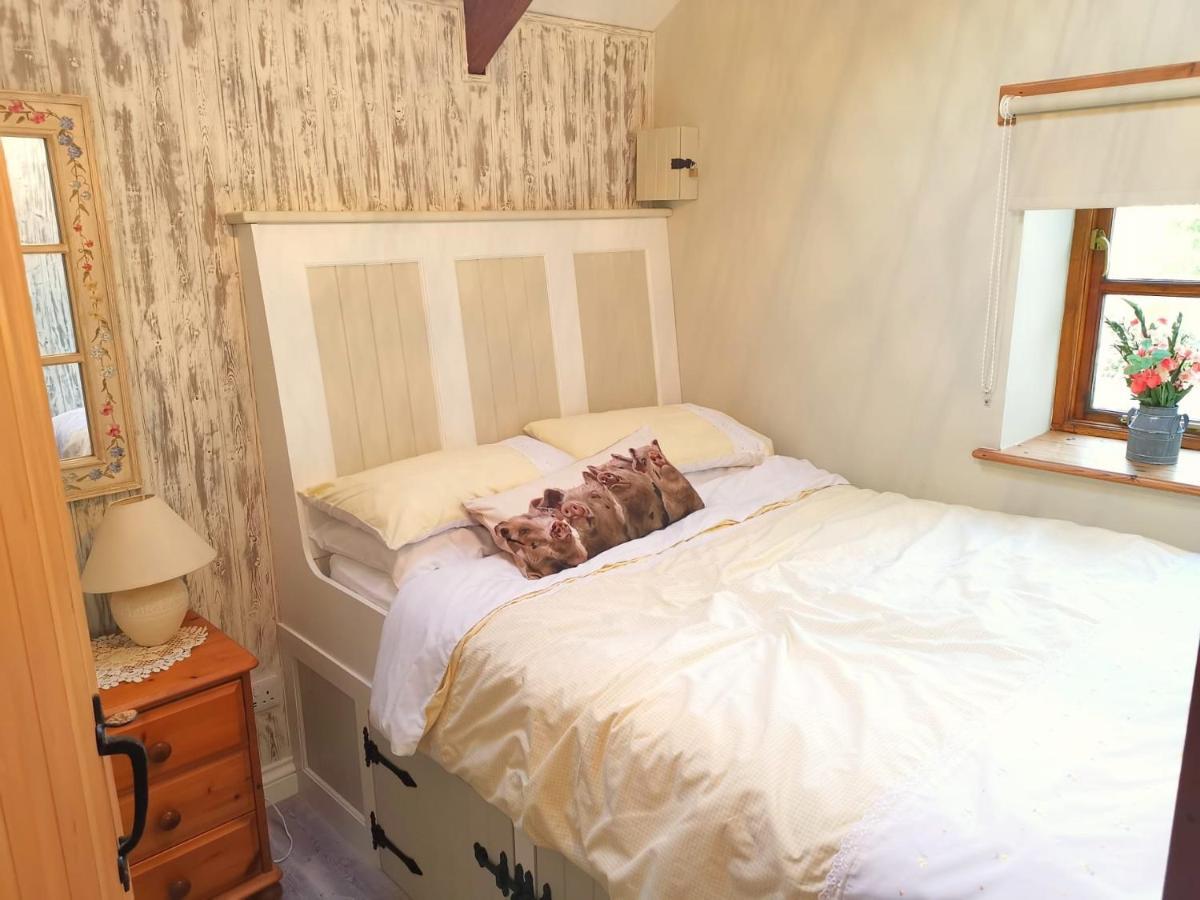 Farm Accommodation - The Lizard Peninsula, Cornwall 헬스턴 외부 사진