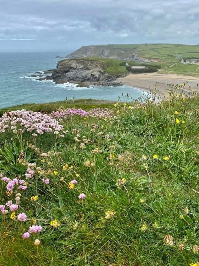Farm Accommodation - The Lizard Peninsula, Cornwall 헬스턴 외부 사진