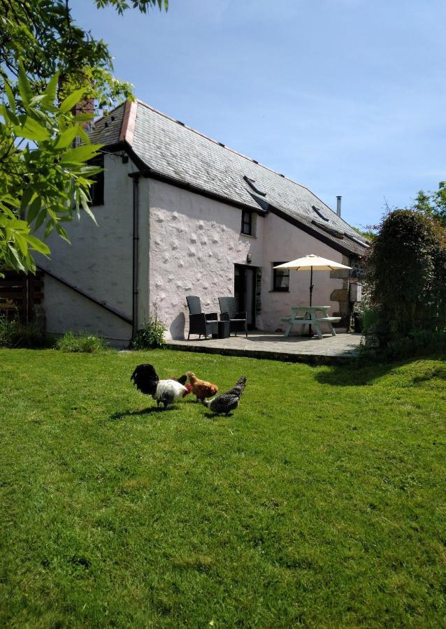 Farm Accommodation - The Lizard Peninsula, Cornwall 헬스턴 외부 사진