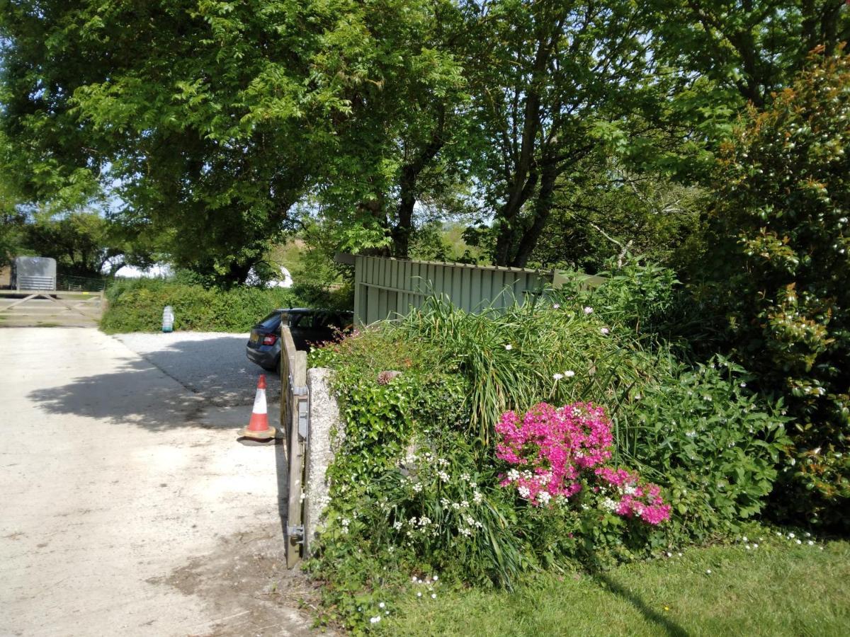 Farm Accommodation - The Lizard Peninsula, Cornwall 헬스턴 외부 사진
